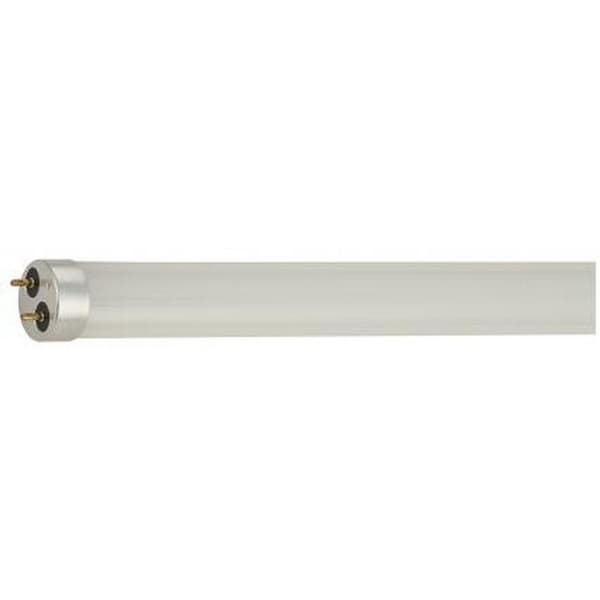 Светодиодная лампа Gauss Elementary T8 24W 1200mm 6500K 93034