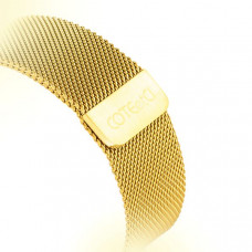 Ремешок из нержавеющей стали COTECi W6 MAGNET Band (WH5203-GD) для Apple Watch 44мм/ 42мм Золотистый