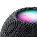 Apple HomePod mini Space Gray