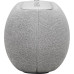 Harman Kardon Luna Grey