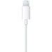 Apple EarPods Lightning